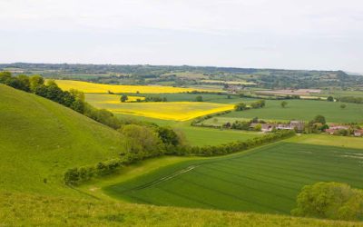 Exploring Charming Ramsbury Estate Trail