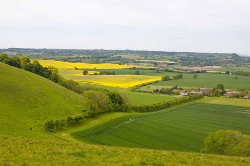 wiltshire countryside walks - Ramsbury Estate Trail