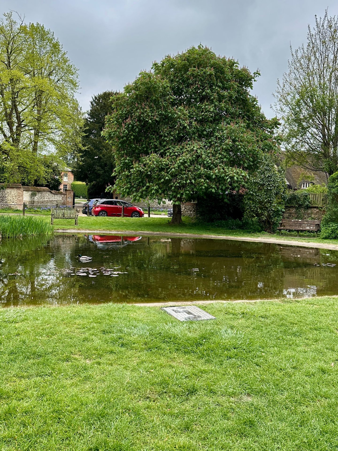 Aldbourne pond